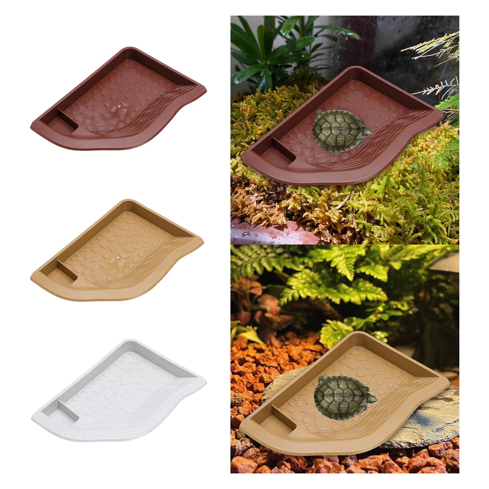 Reptile Pool Water Dish, Torto - Aquarium Fish In Bowl recensione e prezzo