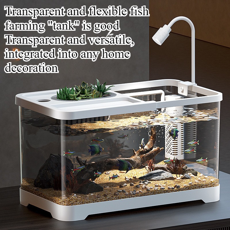 Fish tank household aquarium l - Aquarium Fish In Bowl recensione e prezzo