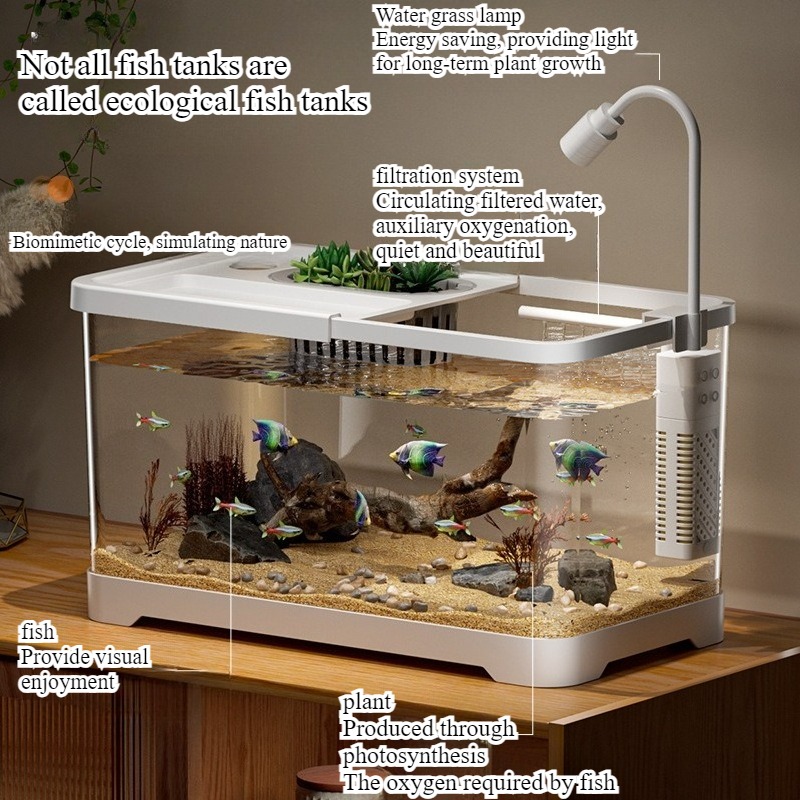 Fish tank household aquarium l - Aquarium Fish In Bowl recensione e prezzo