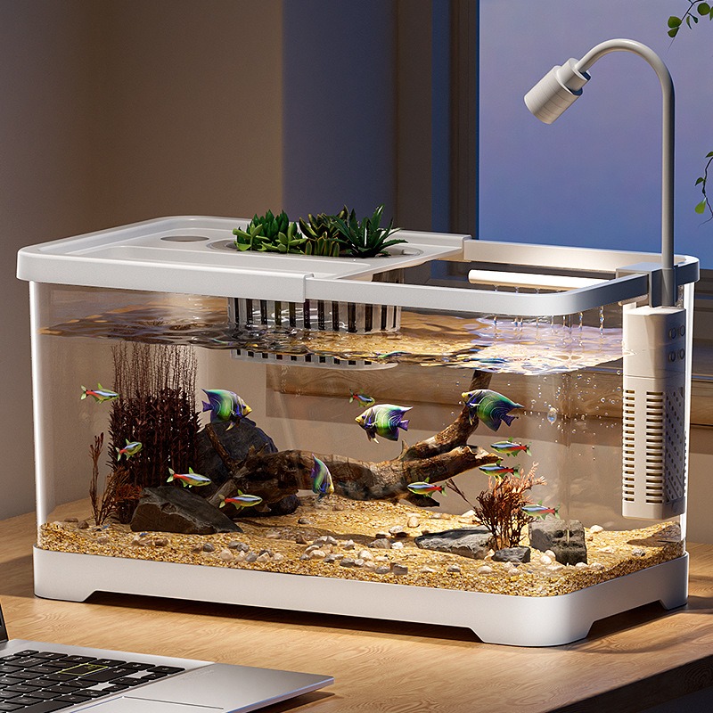 Fish tank household aquarium l - Aquarium Fish In Bowl recensione e prezzo
