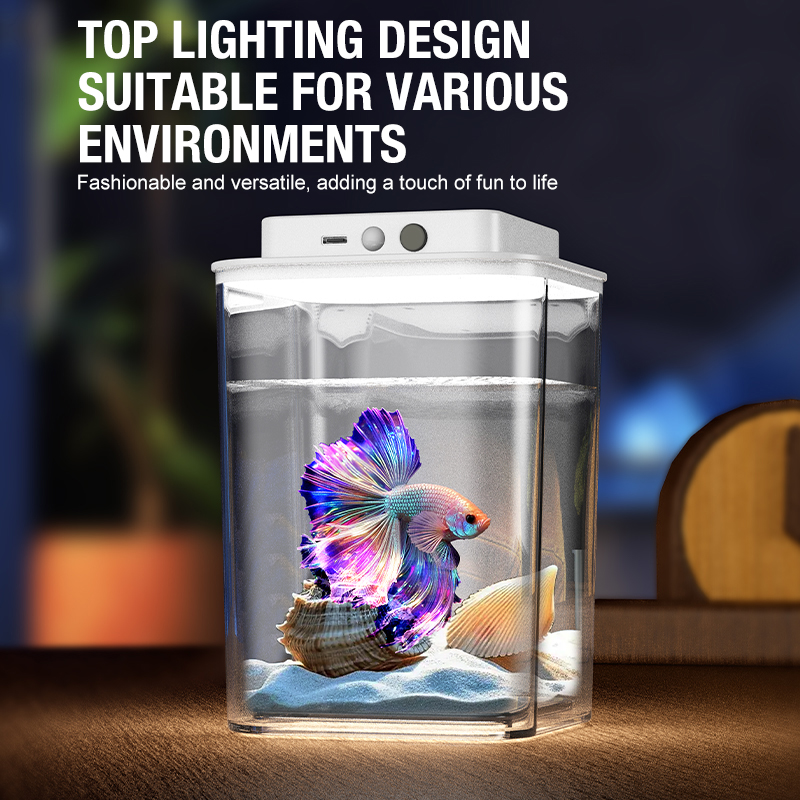 Desktop fish tank, new aquariu - Aquarium Fish In Bowl recensione e prezzo