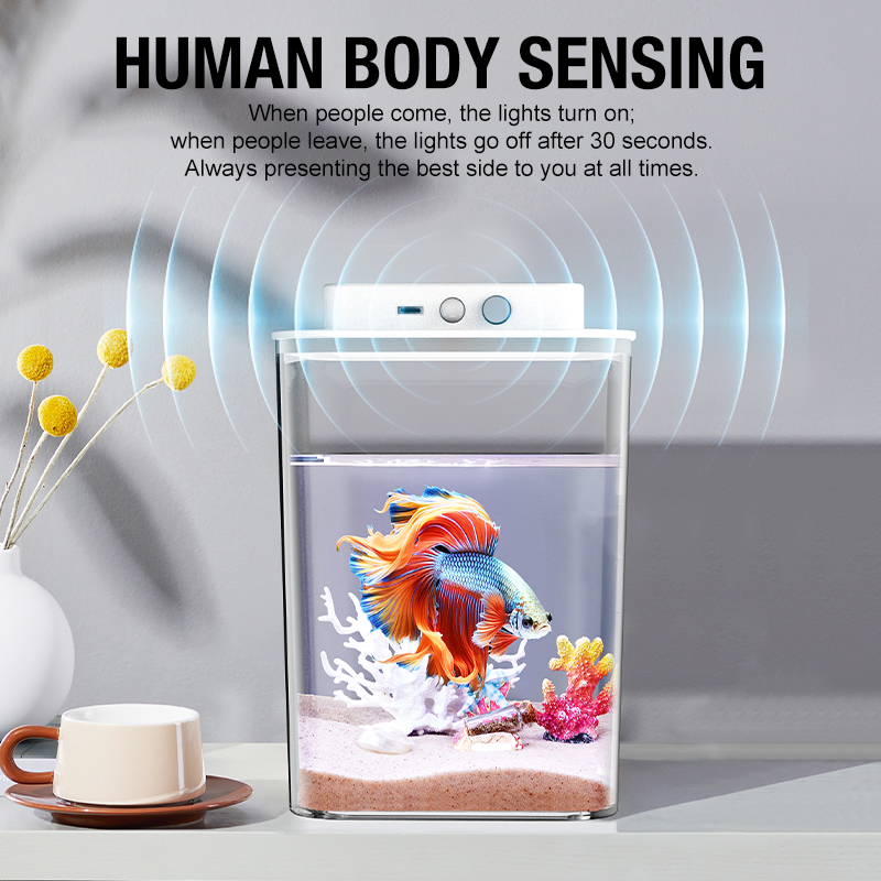 Desktop fish tank, new aquariu - Aquarium Fish In Bowl recensione e prezzo