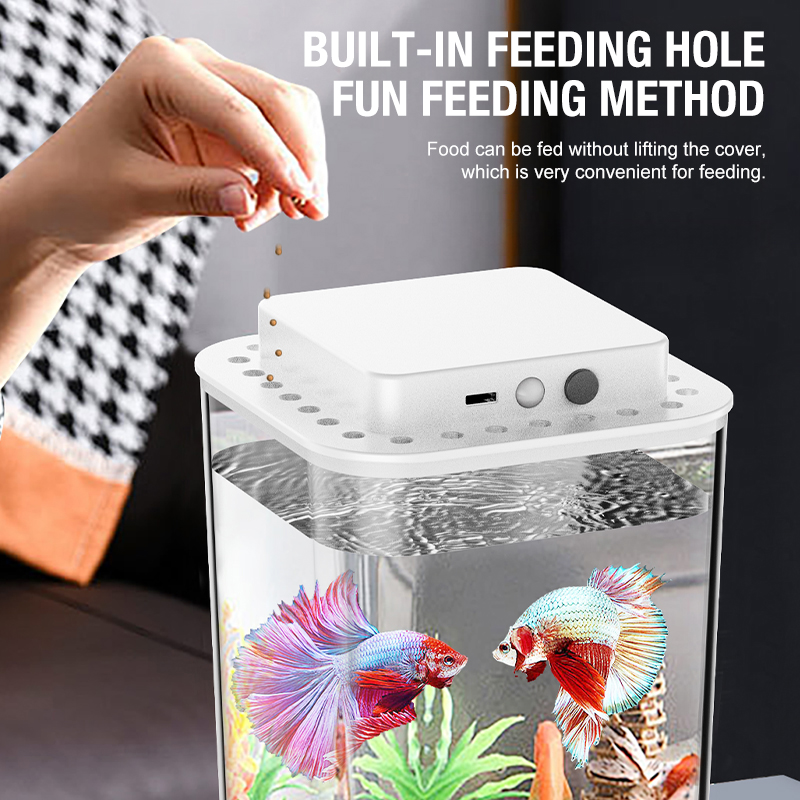 Desktop fish tank, new aquariu - Aquarium Fish In Bowl recensione e prezzo