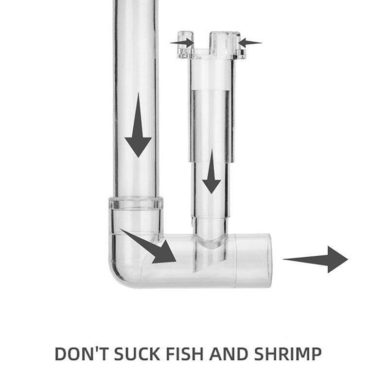 Aquarium Lily Pipe Outflow Out - Aquarium Fish Cartoon recensione e prezzo