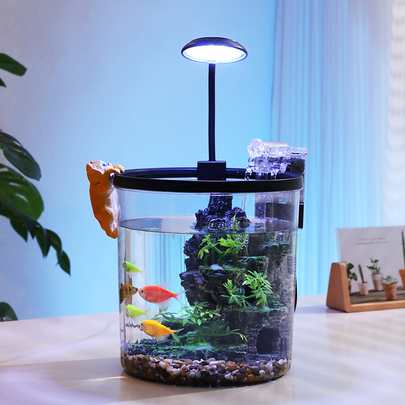 Compact Round Goldfish Bowl -  - Aquarium Fish Goldfish recensione e prezzo