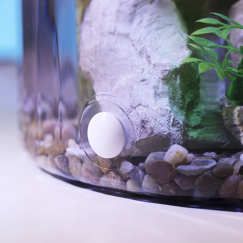 Compact Round Goldfish Bowl -  - Aquarium Fish Goldfish recensione e prezzo