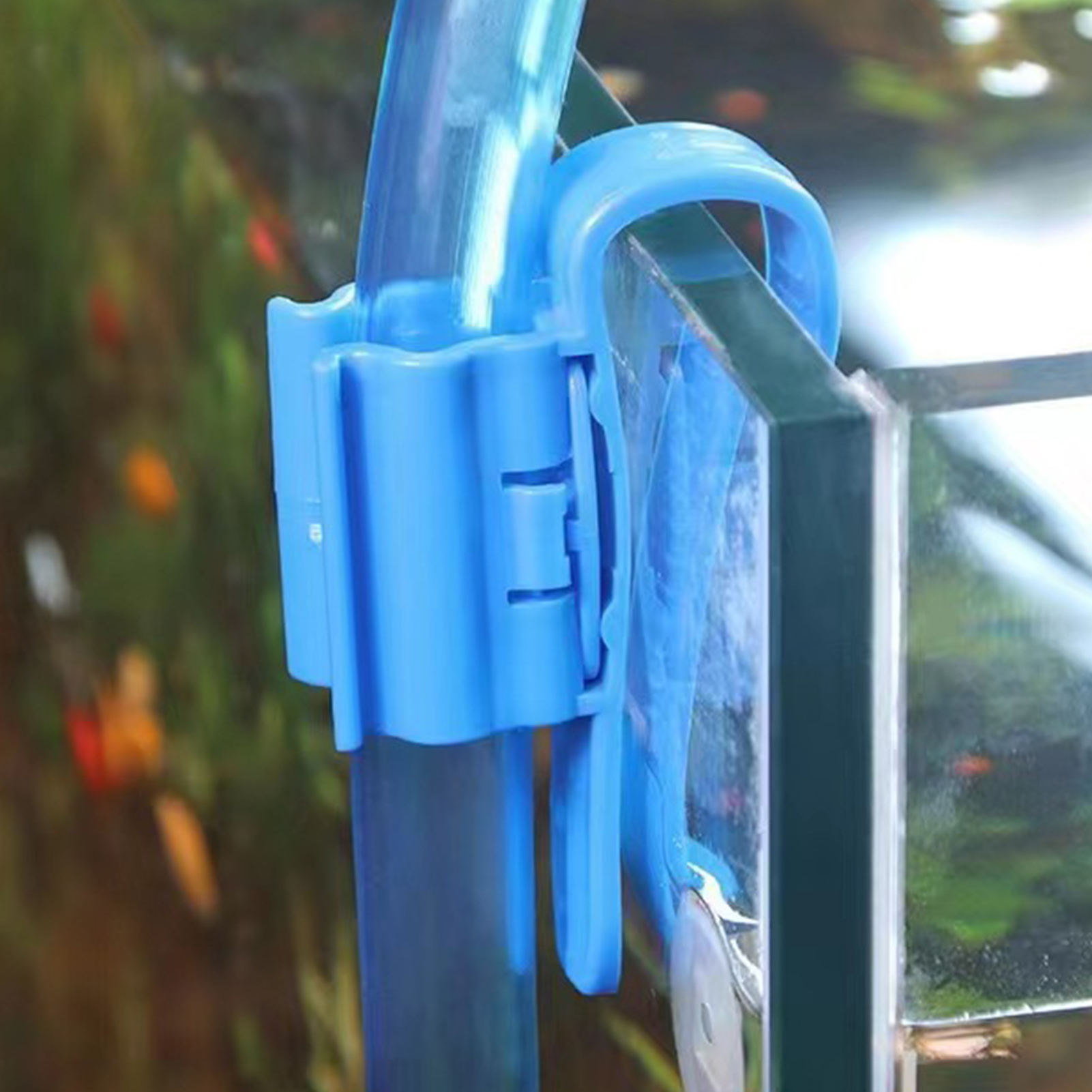 Aquarium Tube Holder Clip Fish - Aquarium Fish Youtube recensione e prezzo