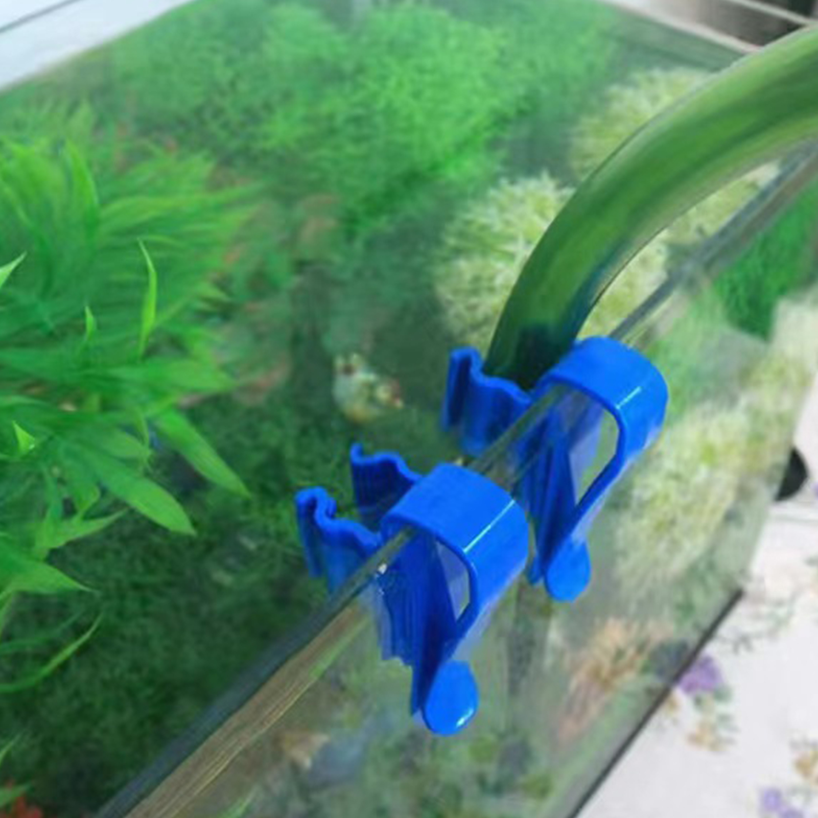 Aquarium Tube Holder Clip Fish - Aquarium Fish Youtube recensione e prezzo