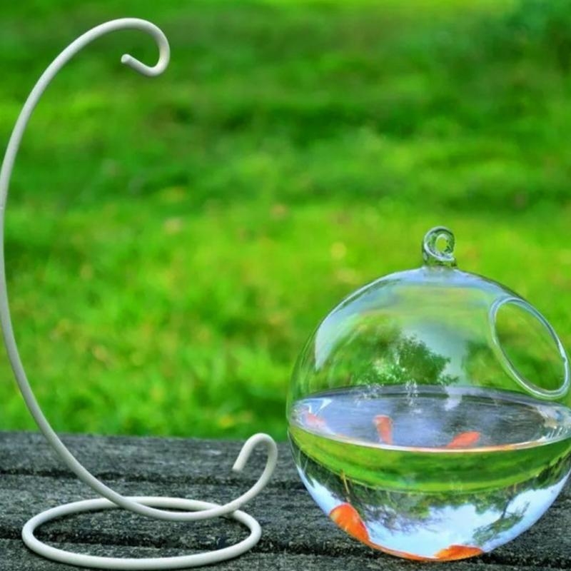 Transparent Spherical Glass Ha - Aquarium Fish In Bowl recensione e prezzo