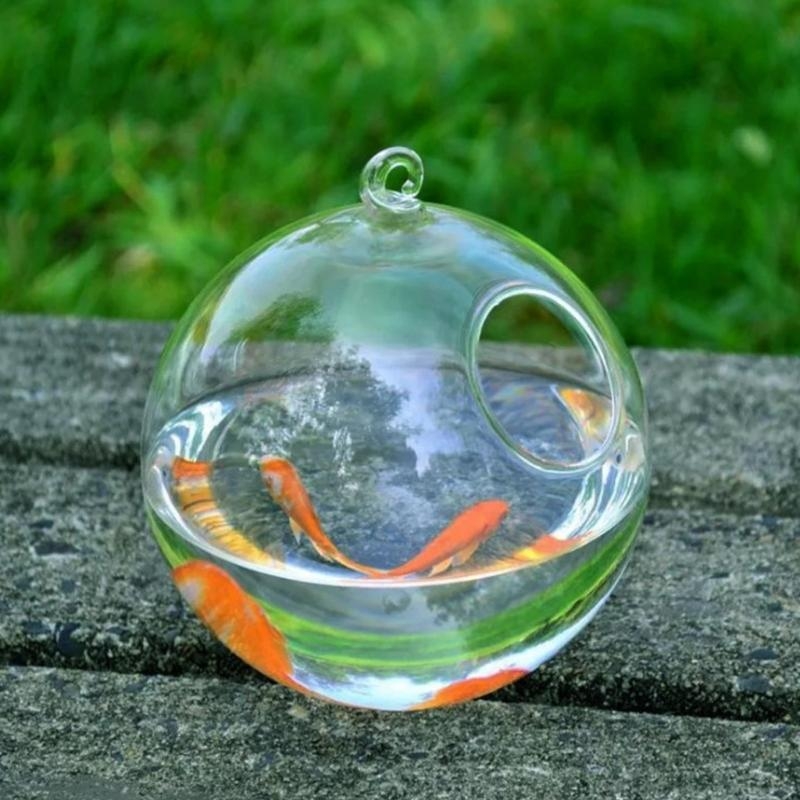 Transparent Spherical Glass Ha - Aquarium Fish In Bowl recensione e prezzo