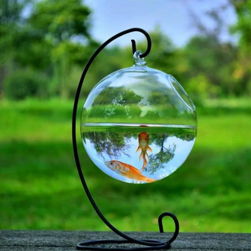 Transparent Spherical Glass Ha - Aquarium Fish In Bowl recensione e prezzo
