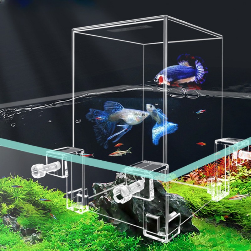 Creative Aquarium Tanks Negati - Aquarium Fish In Bowl recensione e prezzo