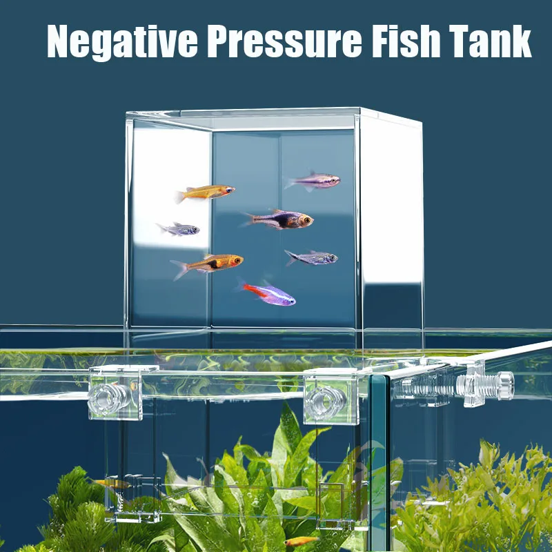 Creative Aquarium Tanks Negati - Aquarium Fish In Bowl recensione e prezzo