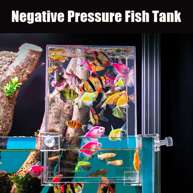 Creative Aquarium Tanks Negati - Aquarium Fish In Bowl recensione e prezzo