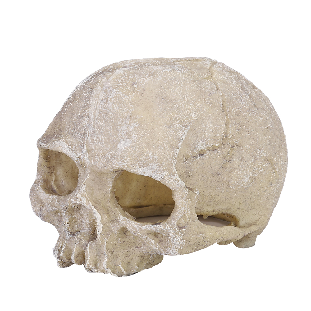 Resin Simulated Head Bone Skul - Aquarium Fish Hide recensione e prezzo