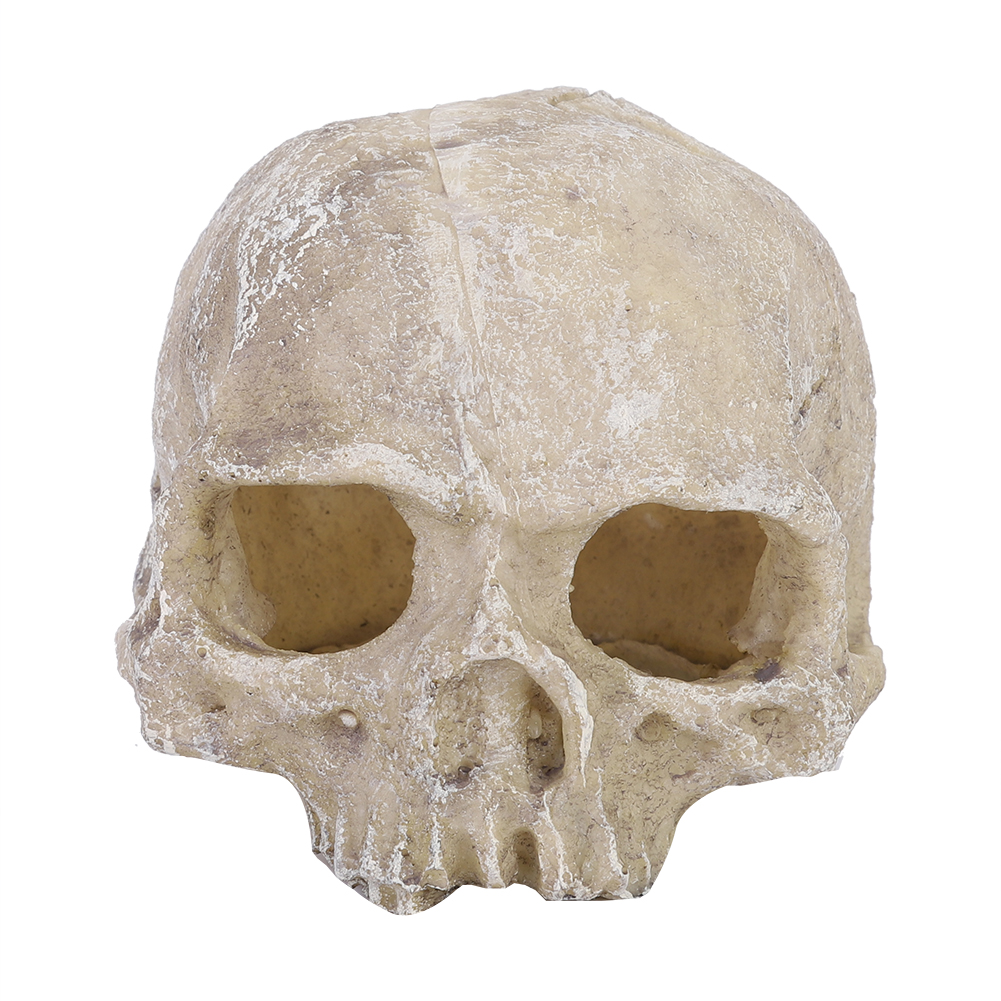 Resin Simulated Head Bone Skul - Aquarium Fish Hide recensione e prezzo