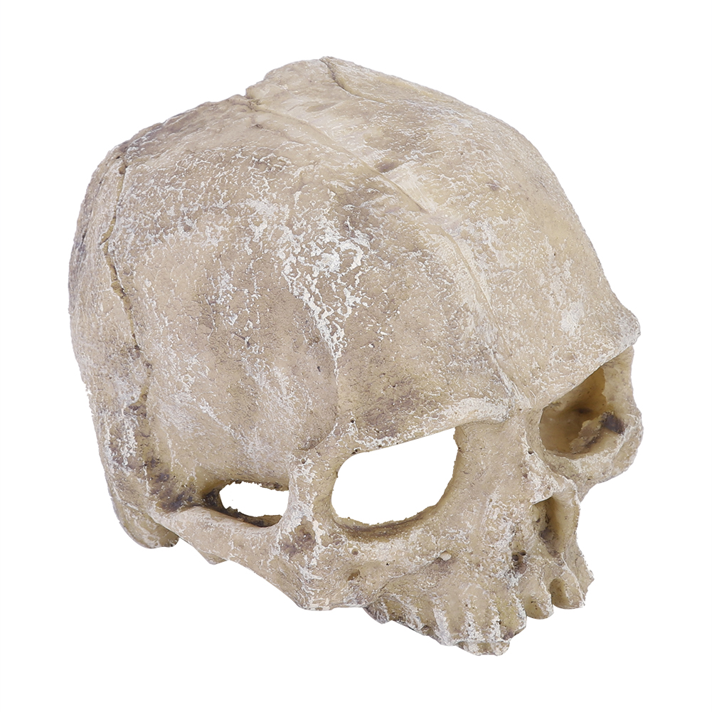 Resin Simulated Head Bone Skul - Aquarium Fish Hide recensione e prezzo