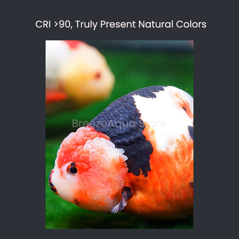 MAYIN Super Colour 100W Freshw - Aquarium Fish Goldfish recensione e prezzo