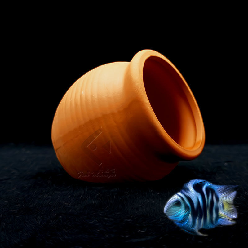 Aquarium Mini Ceramic Tank Fis - Aquarium Fish Hide recensione e prezzo