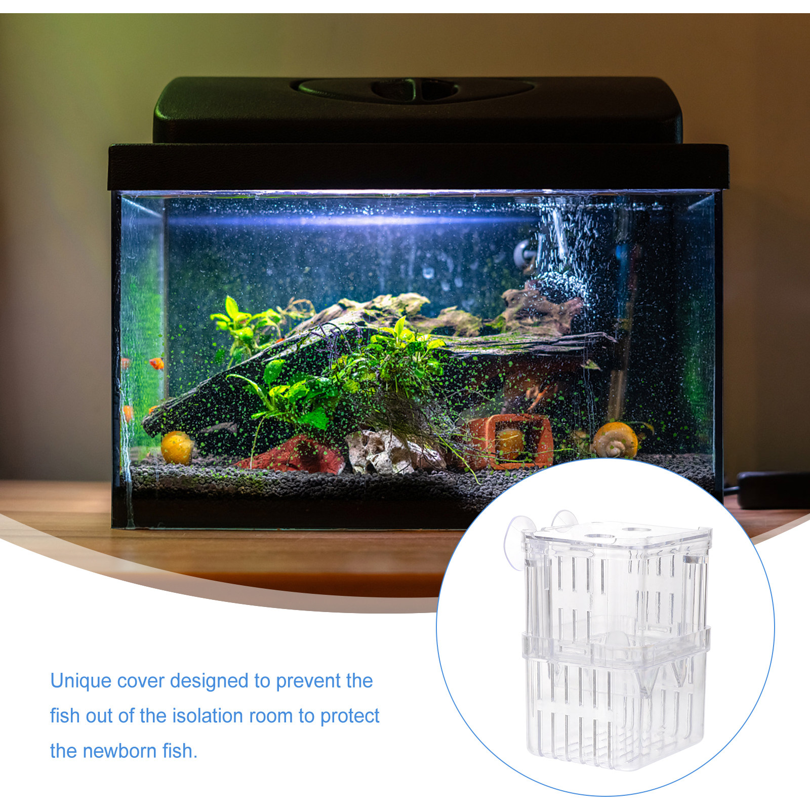 3Pcs Fish Breeding Box with Un - Aquarium Fish Unique recensione e prezzo