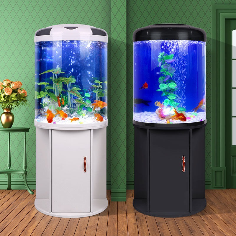 Fish tank living room Semicirc - Aquarium Fish Goldfish recensione e prezzo
