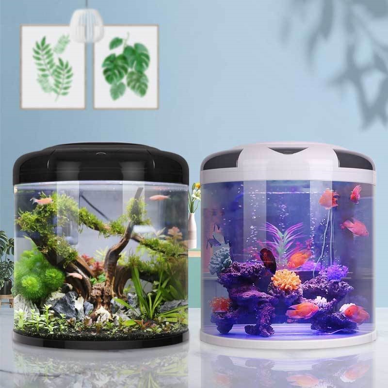 Fish tank living room Semicirc - Aquarium Fish Goldfish recensione e prezzo