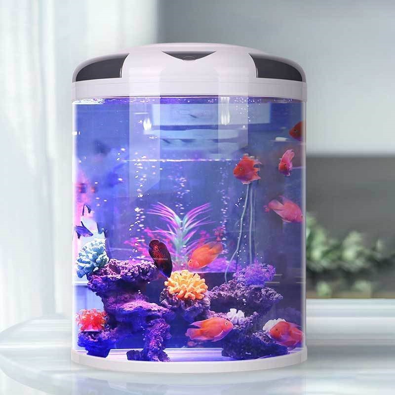 Fish tank living room Semicirc - Aquarium Fish Goldfish recensione e prezzo