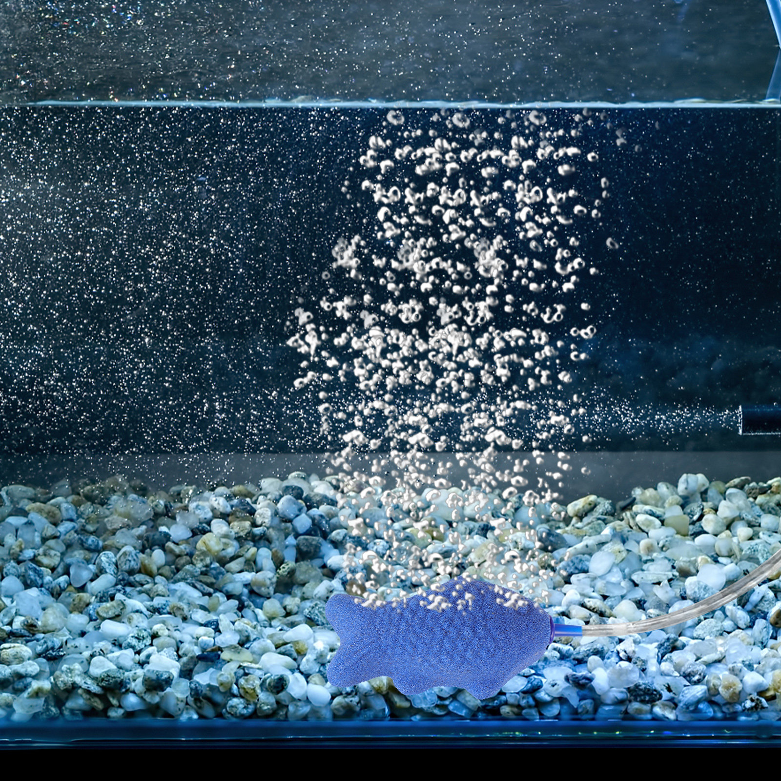 Aquarium Bubble Stone Fish Tan - Aquarium Fish Unique recensione e prezzo