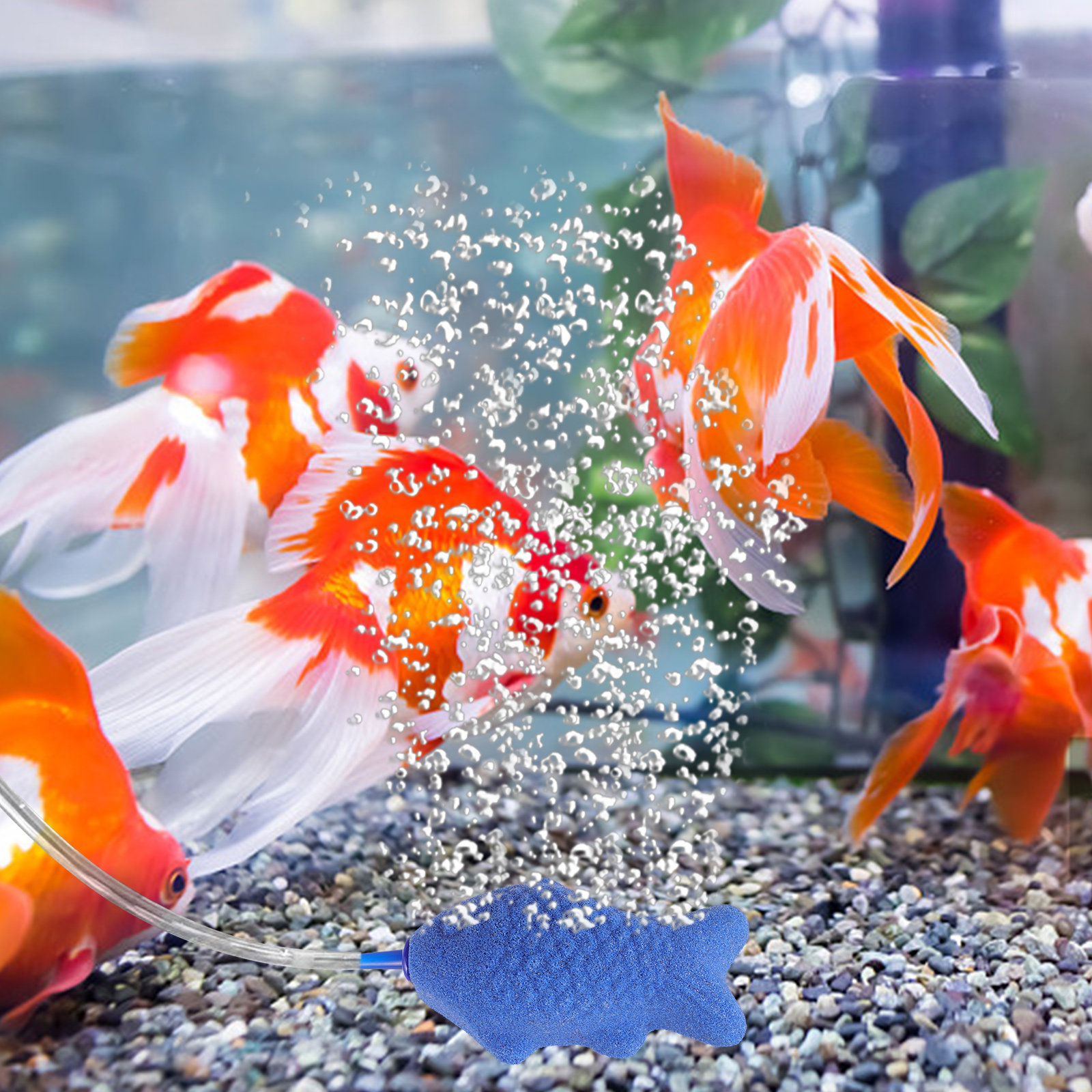 Aquarium Bubble Stone Fish Tan - Aquarium Fish Unique recensione e prezzo