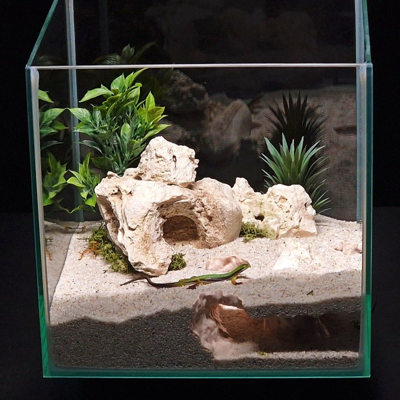 3DPrinted Fish Tank Tunnel She - Aquarium Fish Hide recensione e prezzo