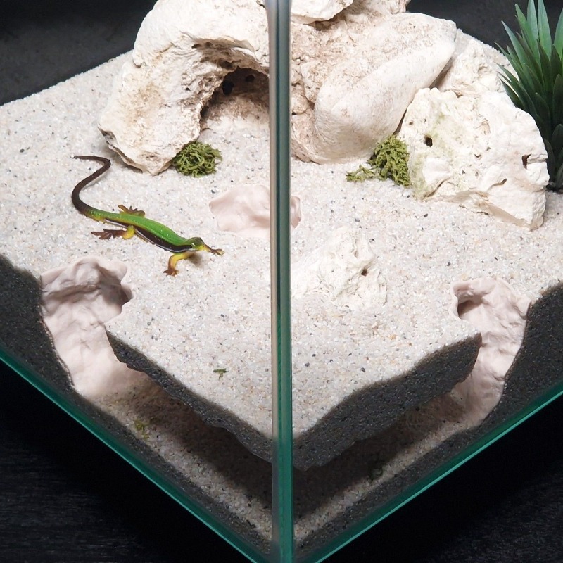 3DPrinted Fish Tank Tunnel She - Aquarium Fish Hide recensione e prezzo