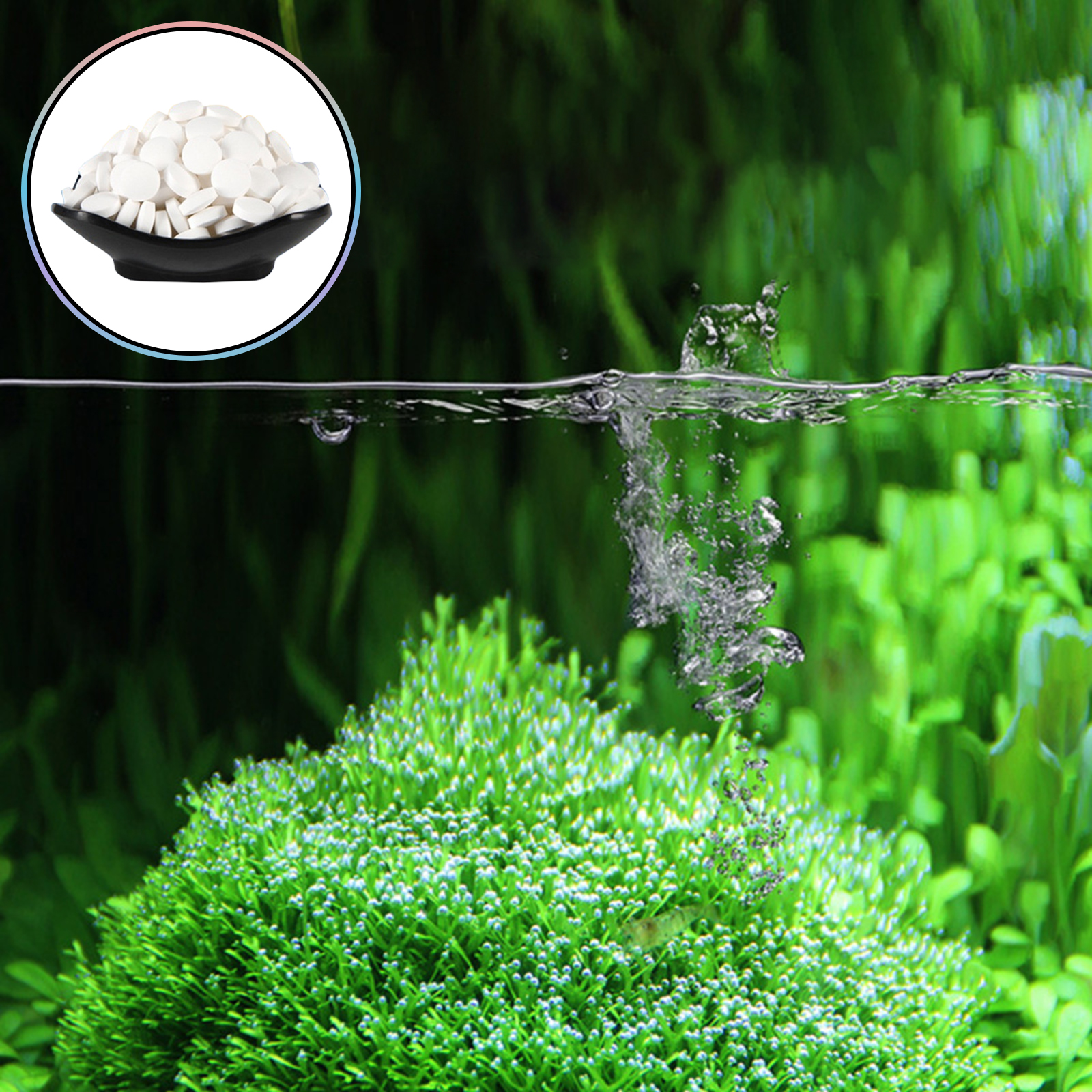 150 Tables Aquarium Algae Clea - Aquarium Fish Maintenance recensione e prezzo