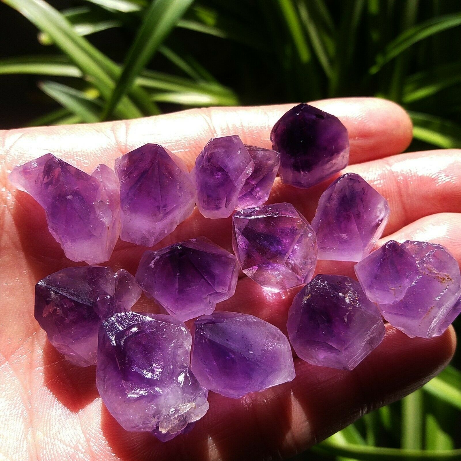 Natural Unique Lavender Amethy - Aquarium Fish Unique recensione e prezzo