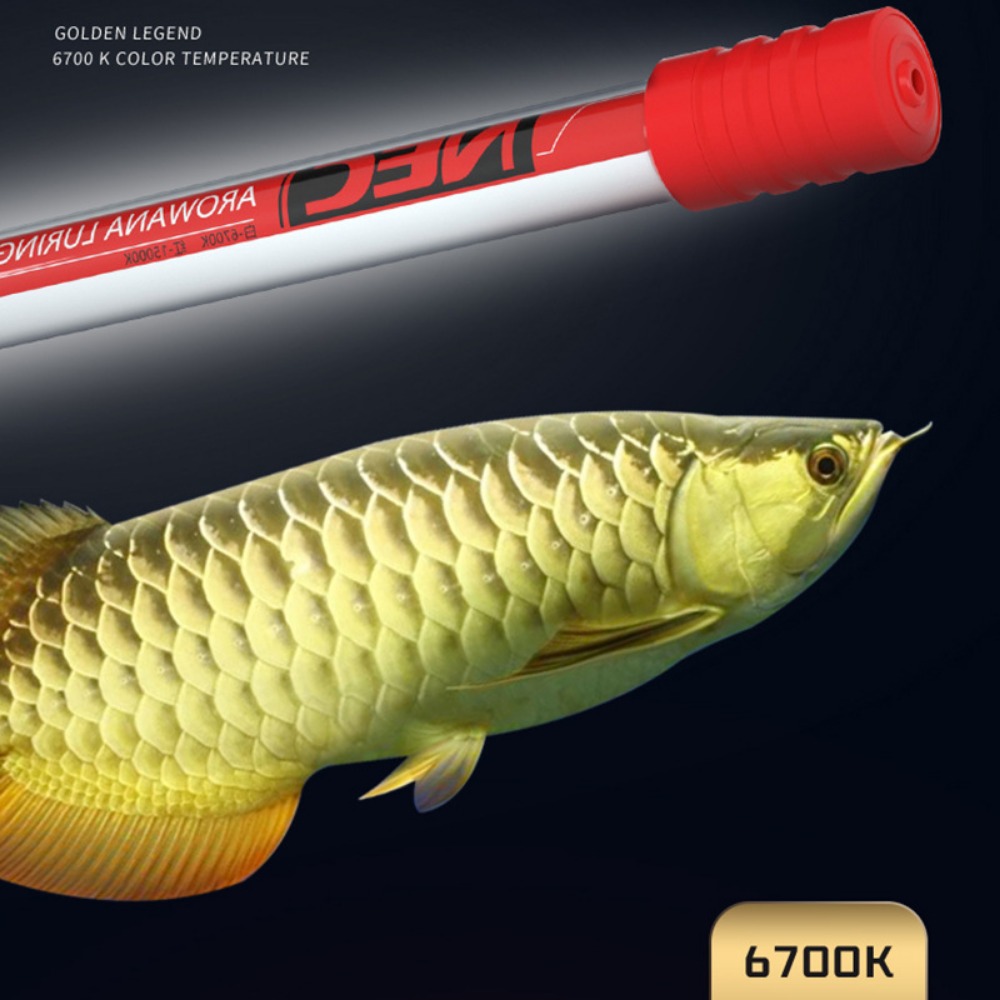 NEC-Arowana Lamp Color Brighte - Aquarium Fish Youtube recensione e prezzo