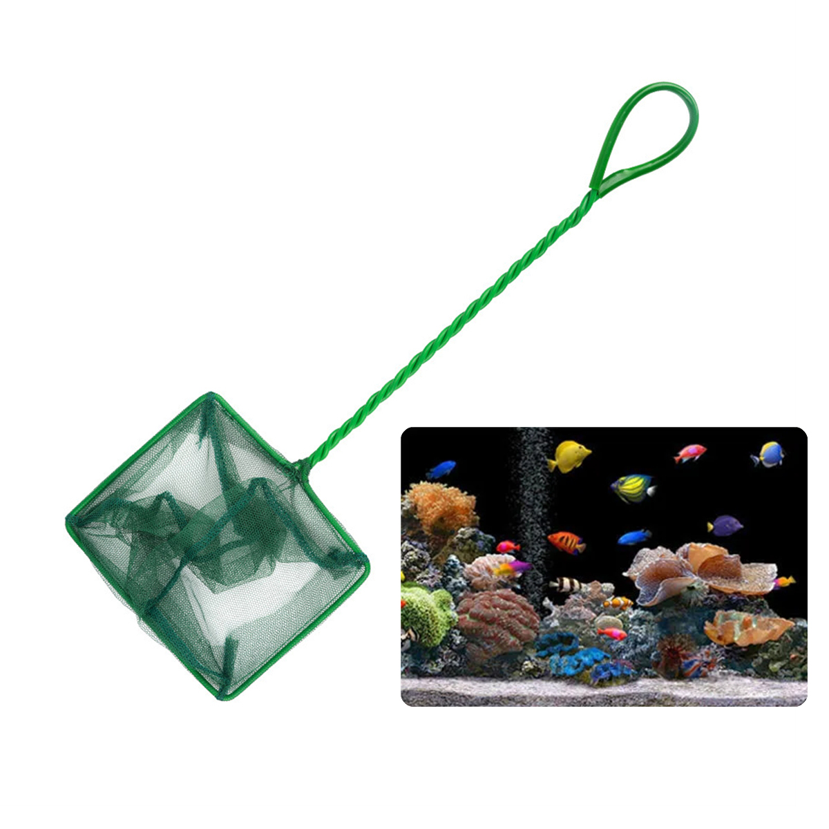 3~10 Inch Portable Nylon Green - Aquarium Fish Maintenance recensione e prezzo