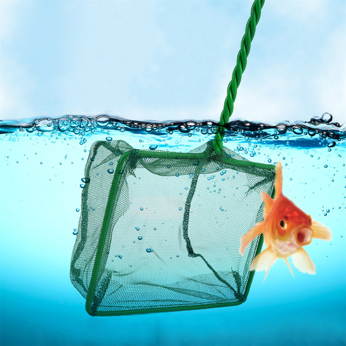3~10 Inch Portable Nylon Green - Aquarium Fish Maintenance recensione e prezzo