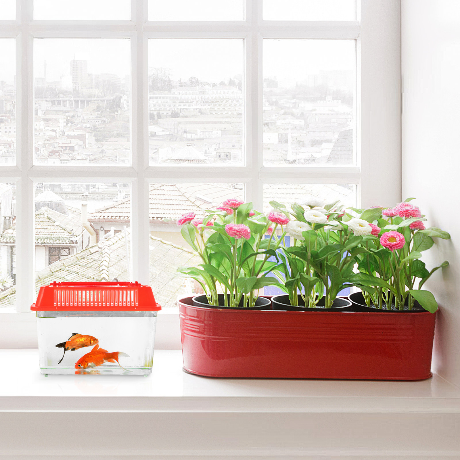 Transparent Mini Fish Tank Pla - Aquarium Fish Goldfish recensione e prezzo