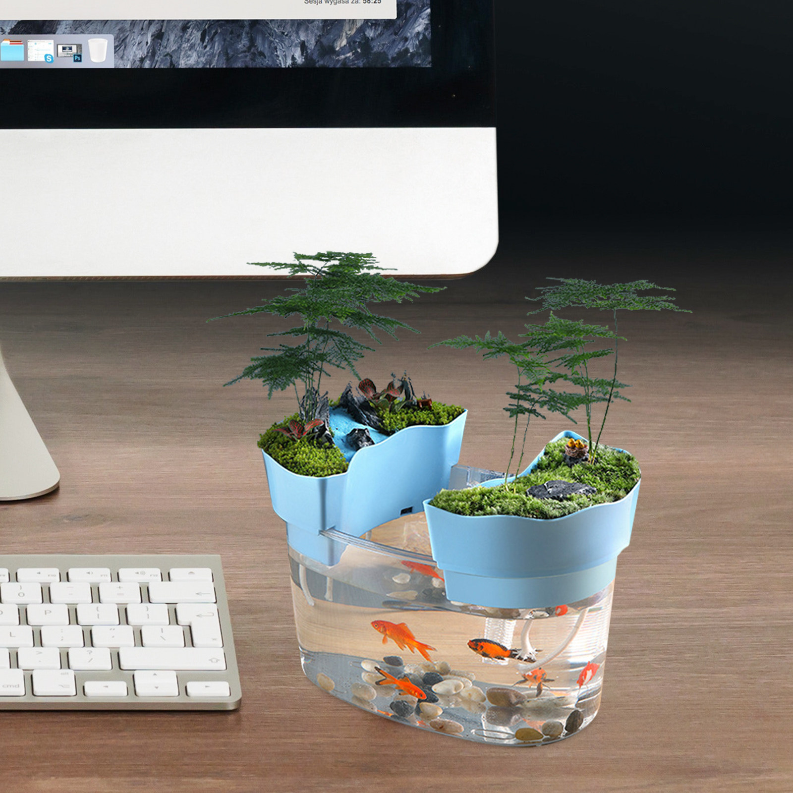 Desktop Small Fish Tank Transp - Aquarium Fish Goldfish recensione e prezzo
