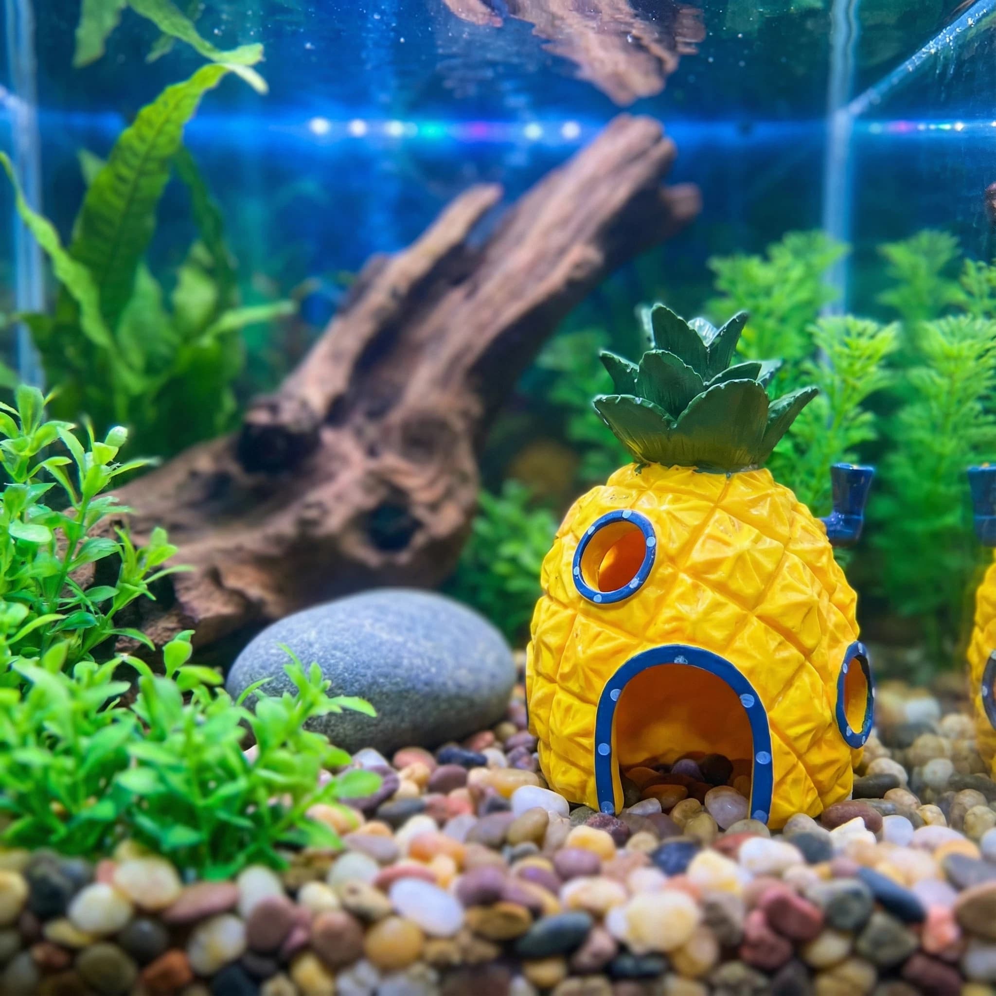 Pineapple House Aquarium Decor - Aquarium Fish Hide recensione e prezzo