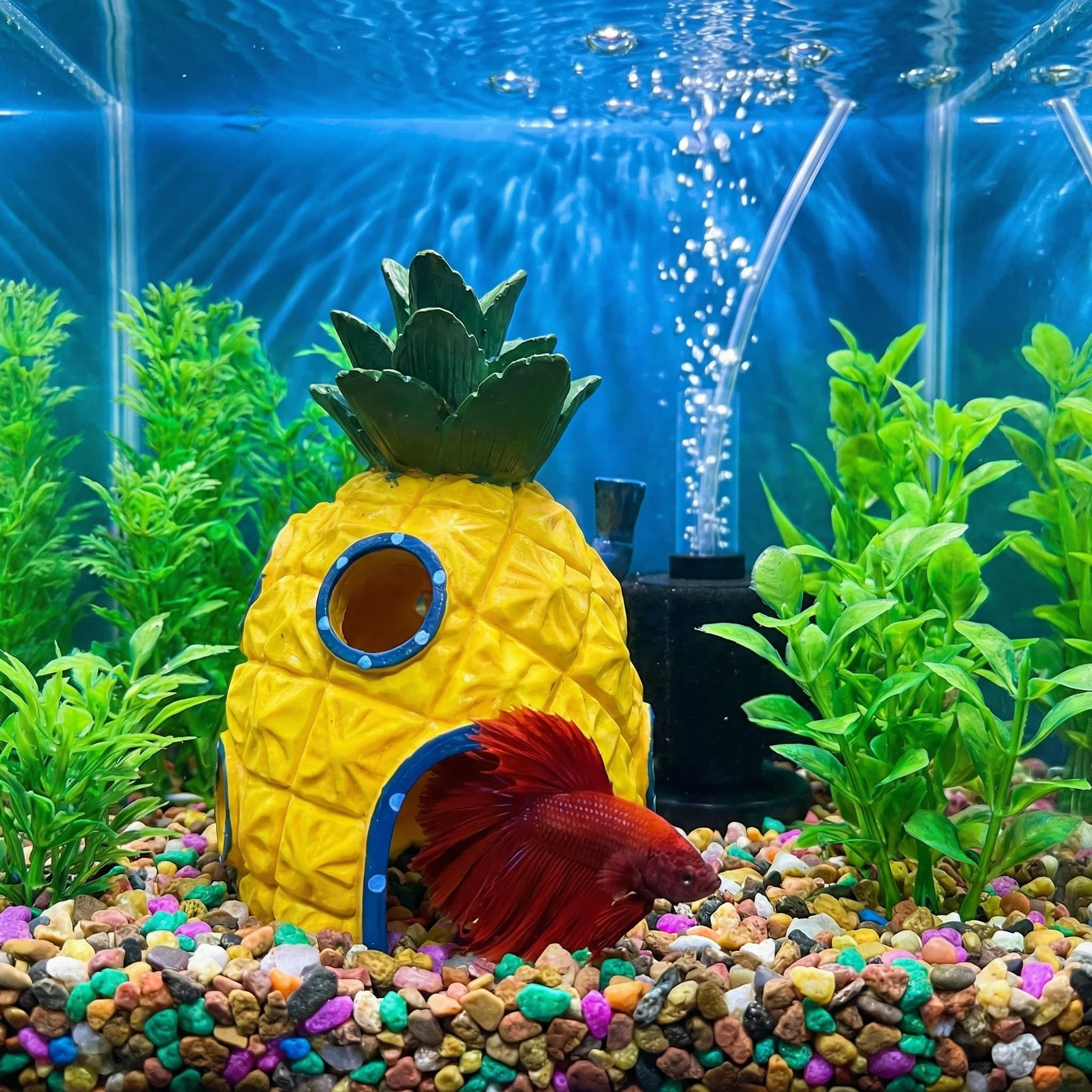 Pineapple House Aquarium Decor - Aquarium Fish Hide recensione e prezzo