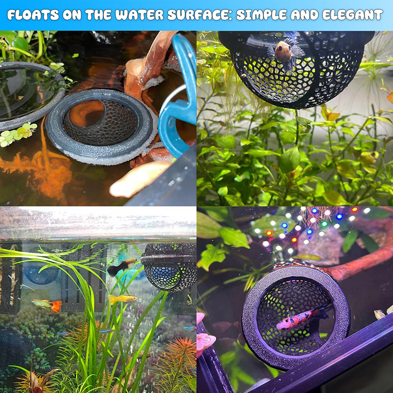 Ring FLoatinG Betta Hide Shrim - Aquarium Fish Hide recensione e prezzo