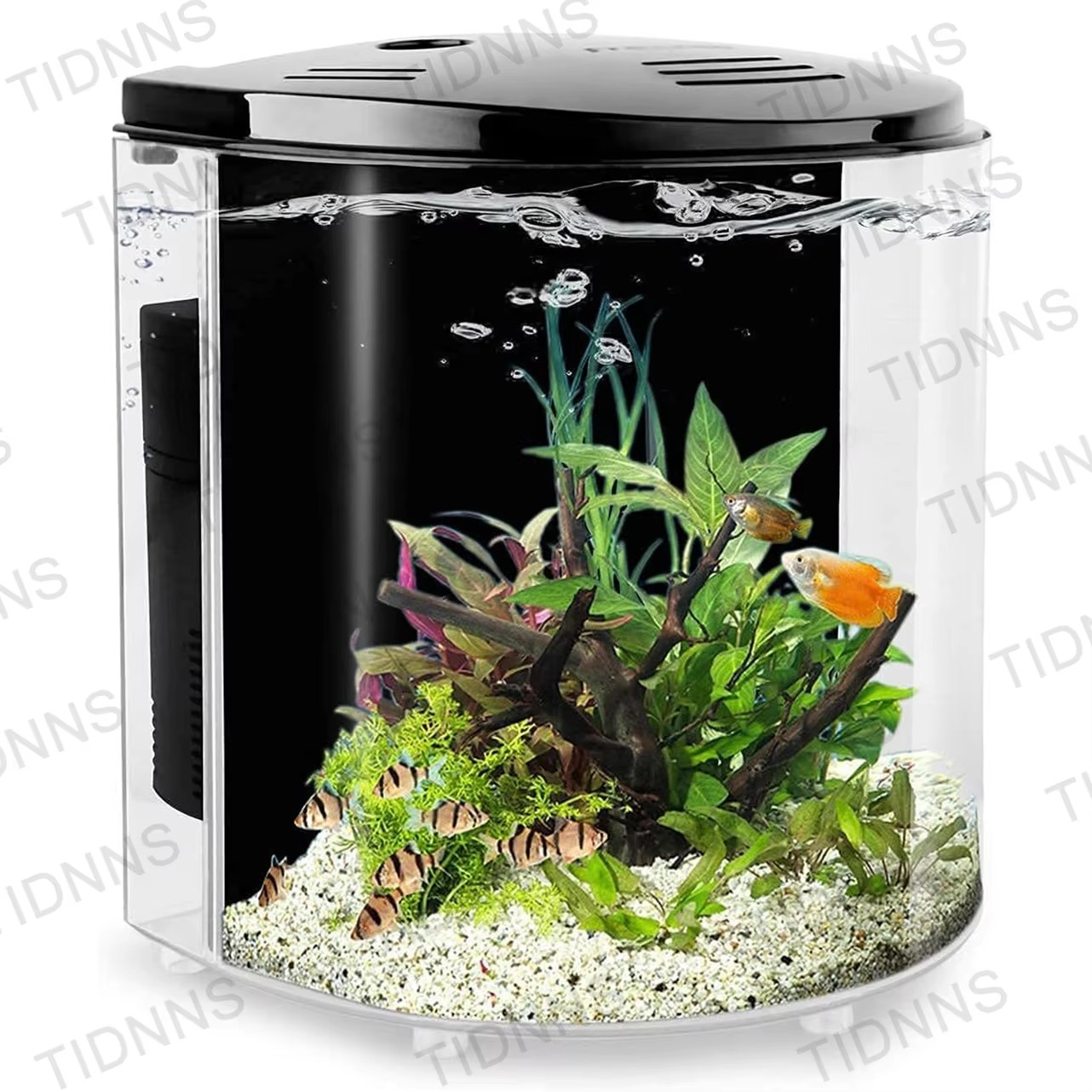 Desktop Small Fish Tank Living - Aquarium Fish Goldfish recensione e prezzo