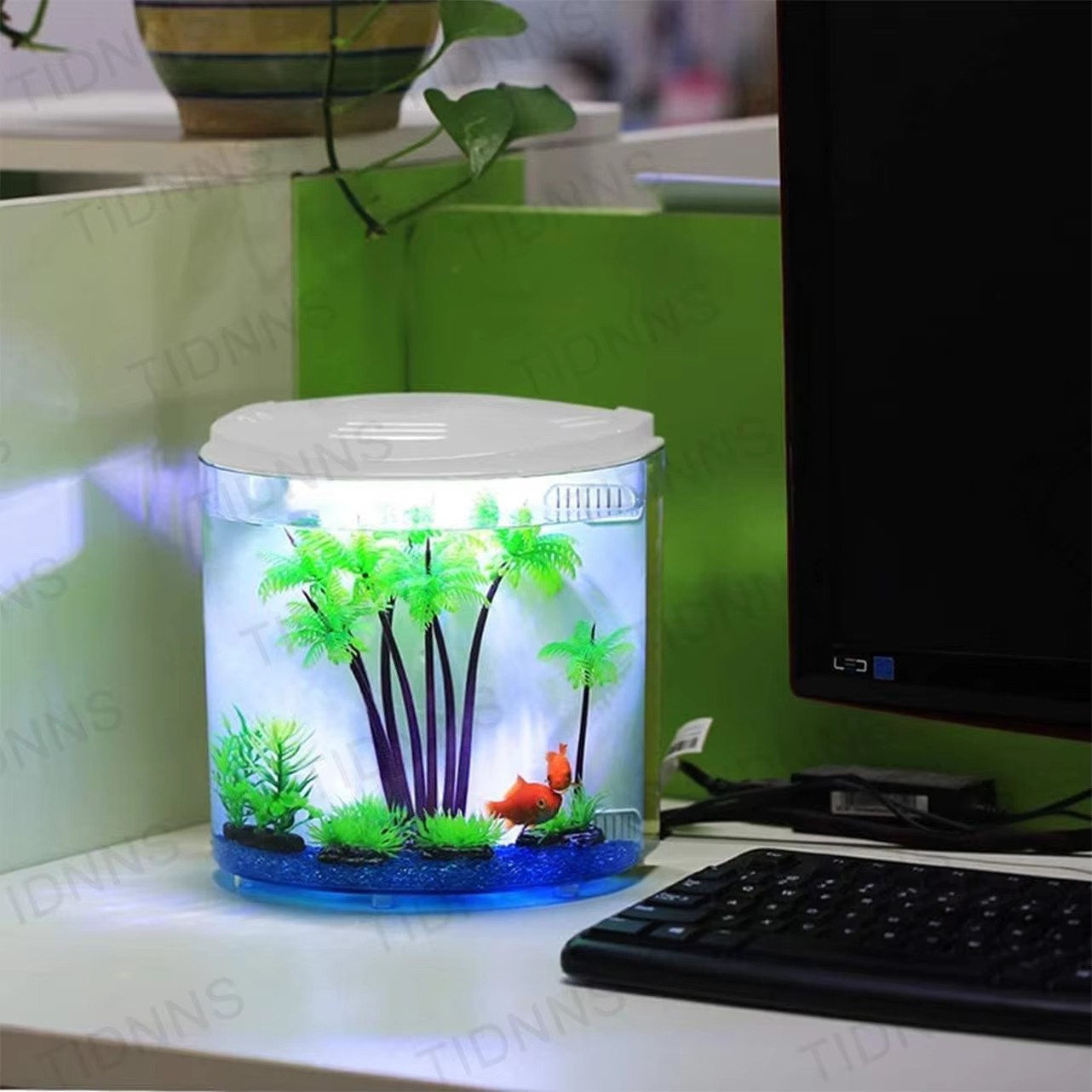 Desktop Small Fish Tank Living - Aquarium Fish Goldfish recensione e prezzo