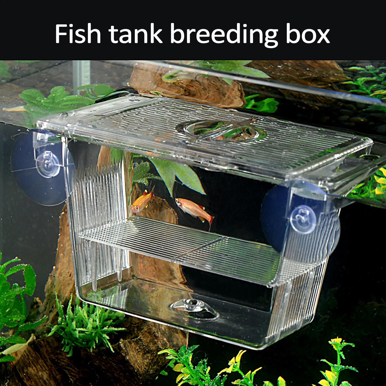 Breeder Box for Fish Tank Tran - Aquarium Fish In Bowl recensione e prezzo