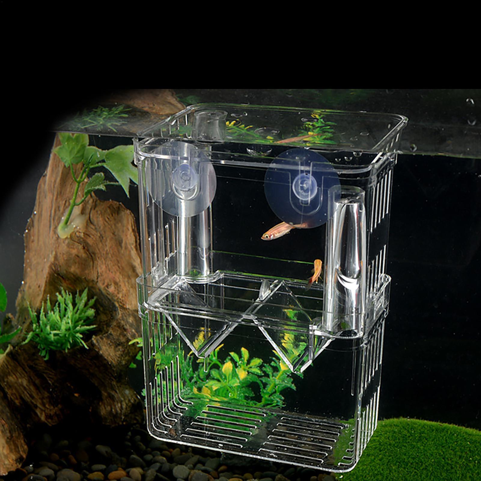 Breeder Box for Fish Tank Tran - Aquarium Fish In Bowl recensione e prezzo