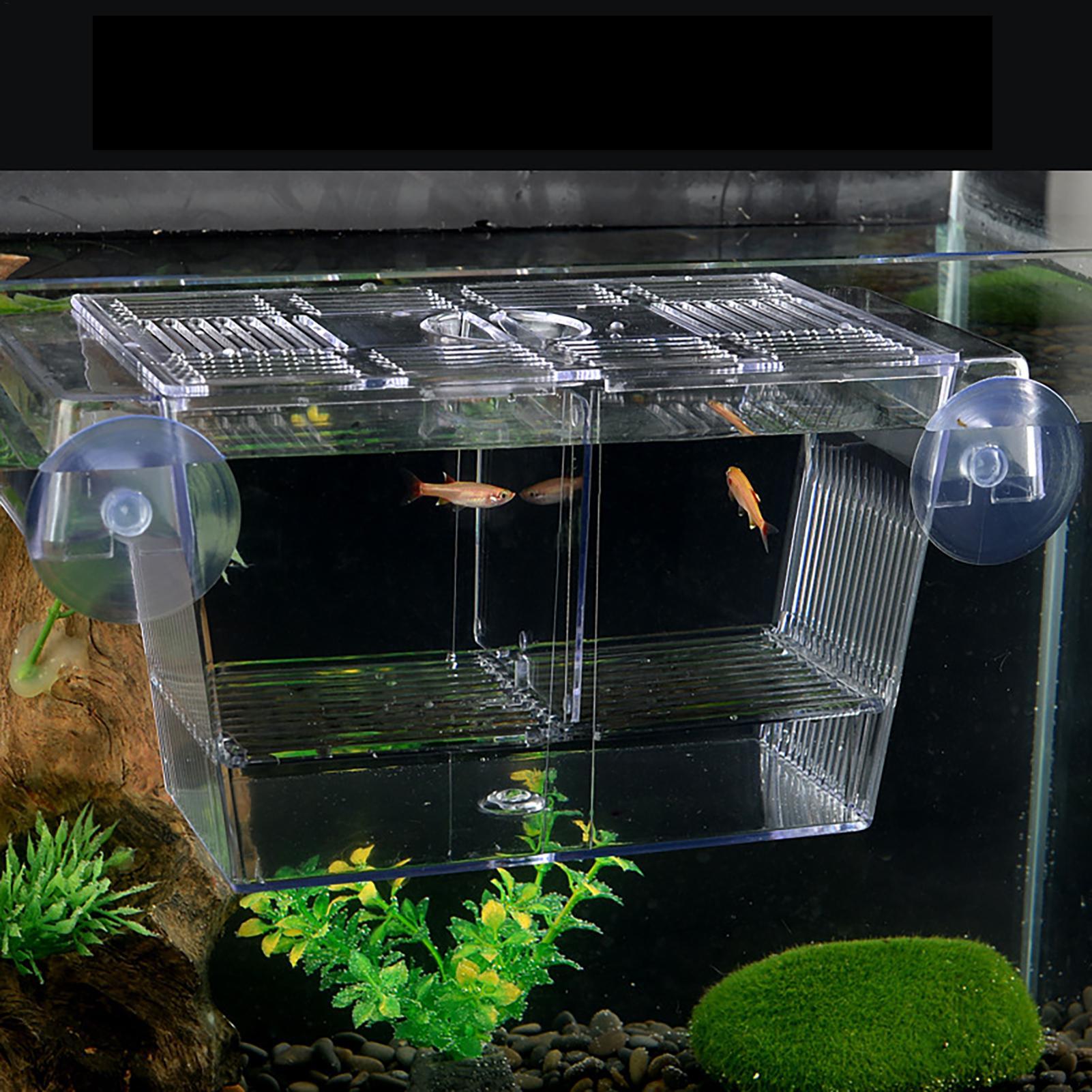 Breeder Box for Fish Tank Tran - Aquarium Fish In Bowl recensione e prezzo