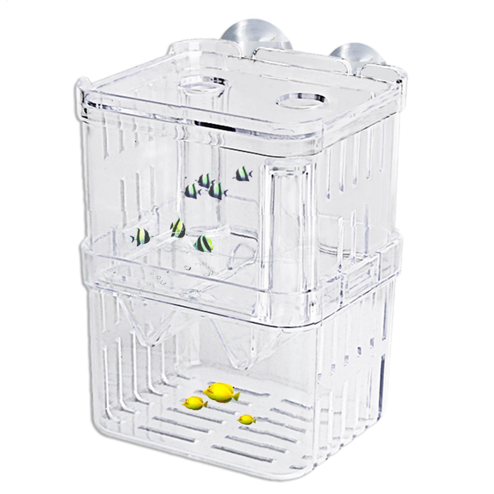 Breeder Box for Fish Tank Tran - Aquarium Fish In Bowl recensione e prezzo