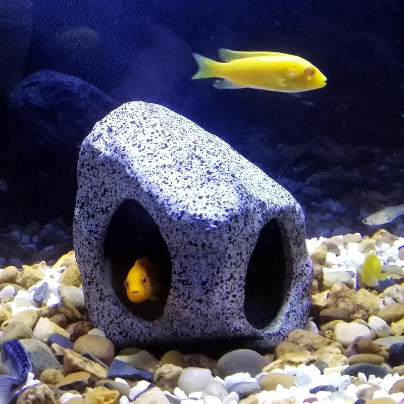 Fish Tank Cave Stone Landscapi - Aquarium Fish Cichlid recensione e prezzo
