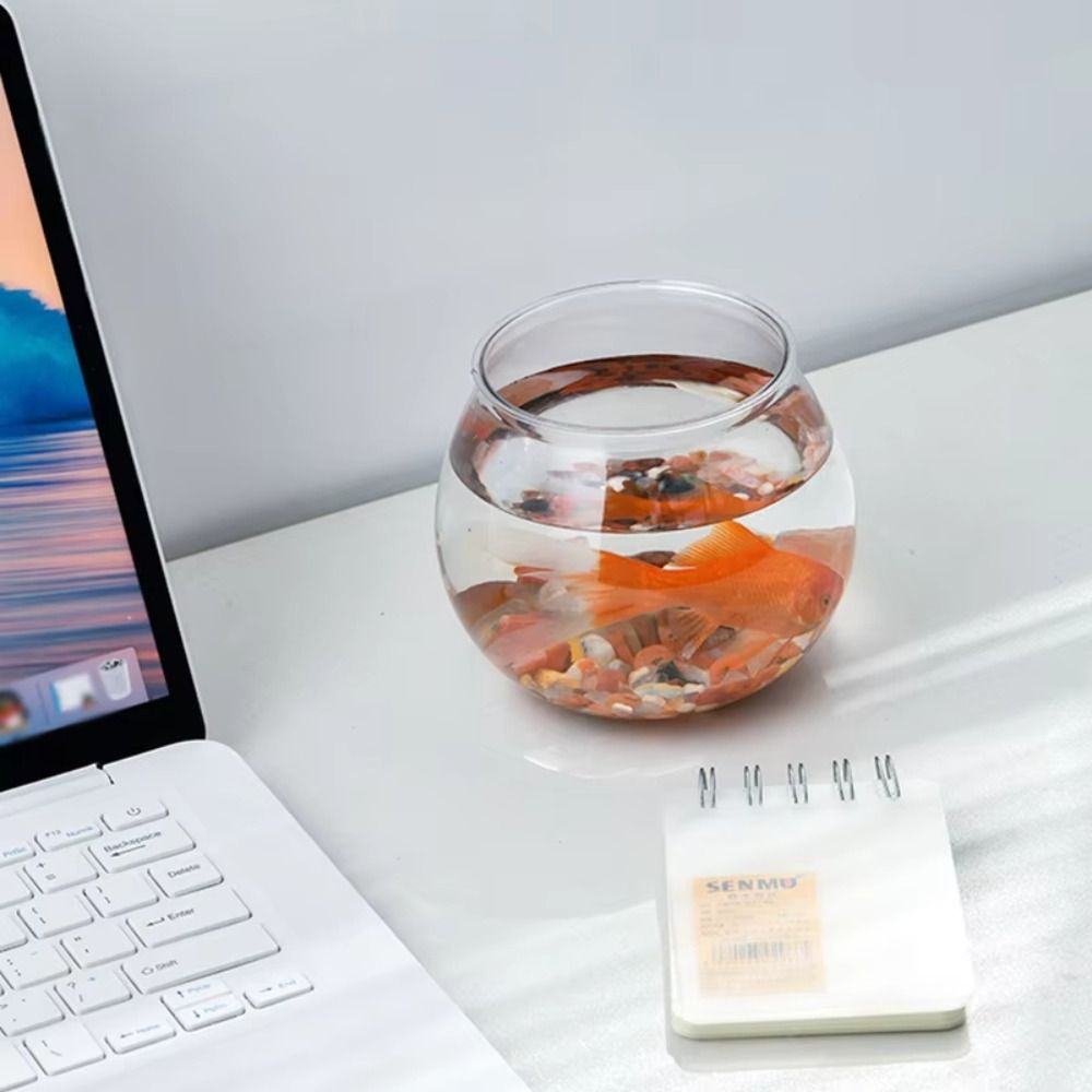 New Transparent Fish Tank Roun - Aquarium Fish In Bowl recensione e prezzo