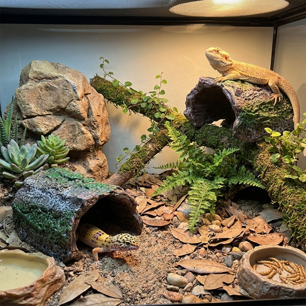 Simulation Reptile Hideout Hol - Aquarium Fish Hide recensione e prezzo